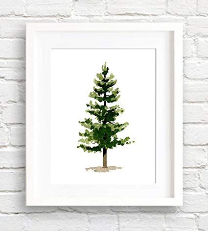 425x471 Pine Tree Watercolor Art Print By Artist Dj Rogers