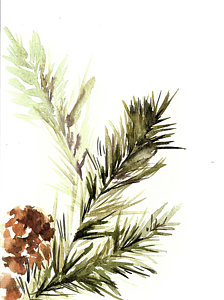 224x300 Watercolor Pine Trees Paintings Fine Art America