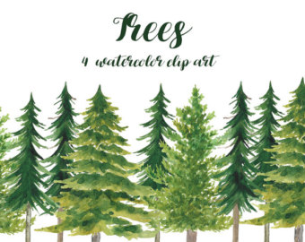 340x270 Watercolor Pine Tree Etsy
