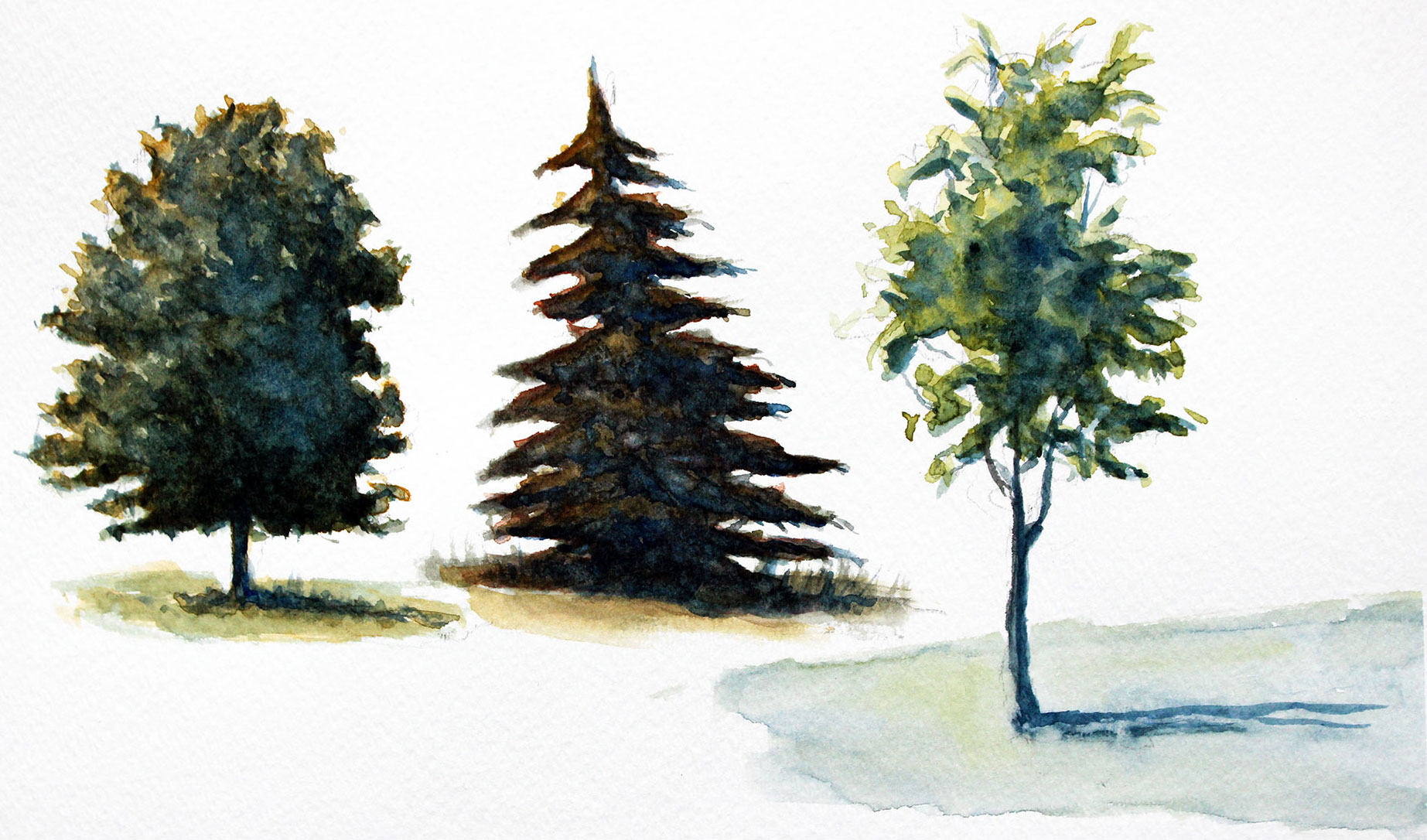 1845x1086 How To Paint Trees With Watercolor