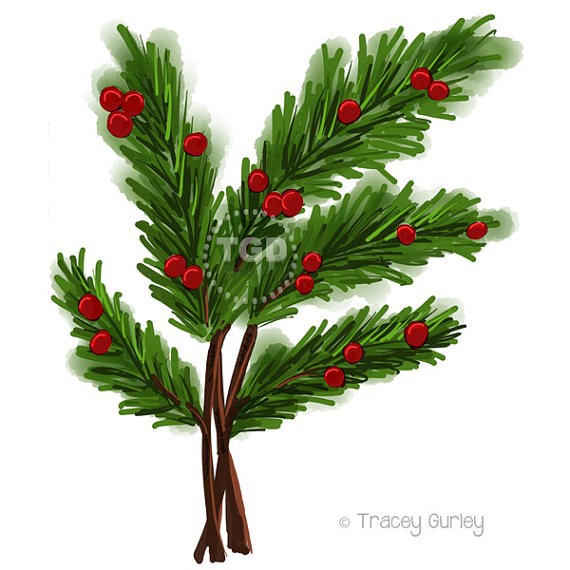 570x570 Pine Branch With Berries Watercolor Style Original Art