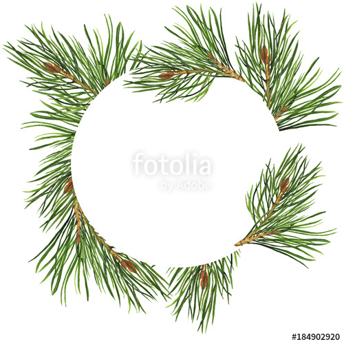 500x500 Pine Branch Circle Isolated On White Background. Design For Logo