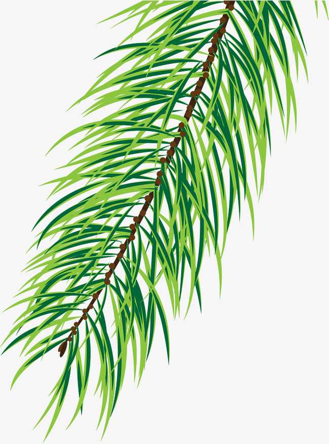 650x877 Small Fresh Green Pine, Brown Branches, Watercolor, Green Plants