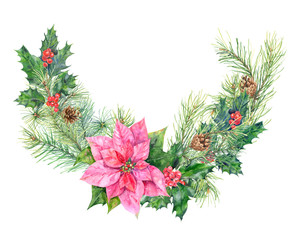 295x240 Collection Of Pine Branches And Cones On White Background, Hand