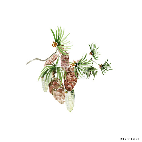 500x500 Watercolor Winter Pattern Of Christmas Pine Branch With Cones