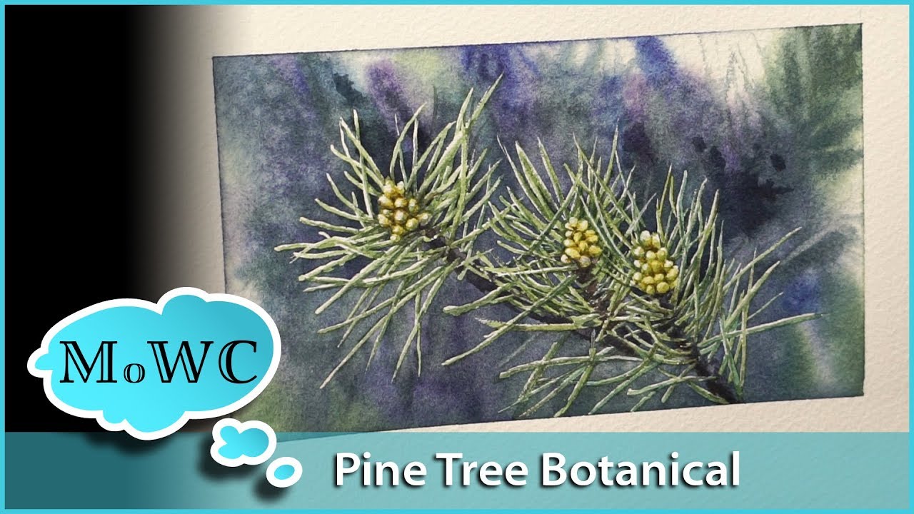 1280x720 Pine Branch Botanical Watercolor Journaling Kilimanjaro Paper