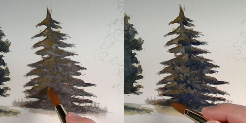 800x400 How To Paint Trees With Watercolor