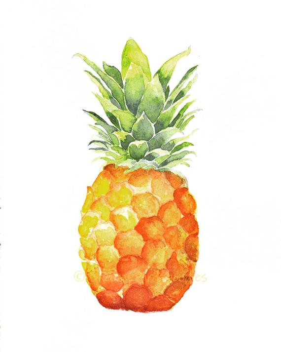 570x713 Pineapple Print Watercolour Pineapple Fruit Watercolor Art Etsy