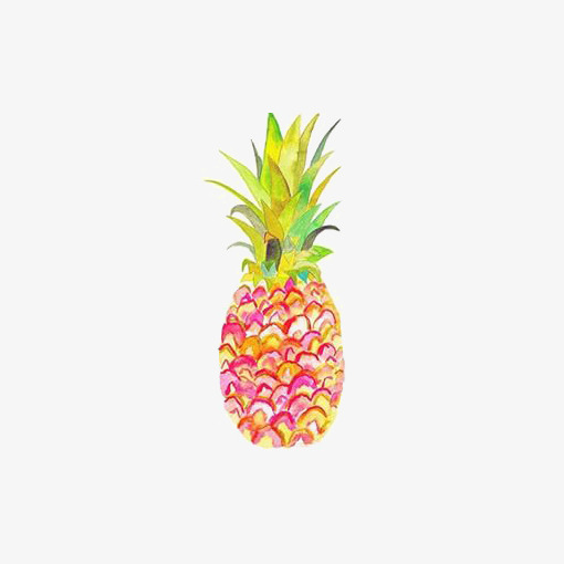 510x510 Watercolor Pineapple, Watercolor Clipart, Pineapple Clipart, Hand