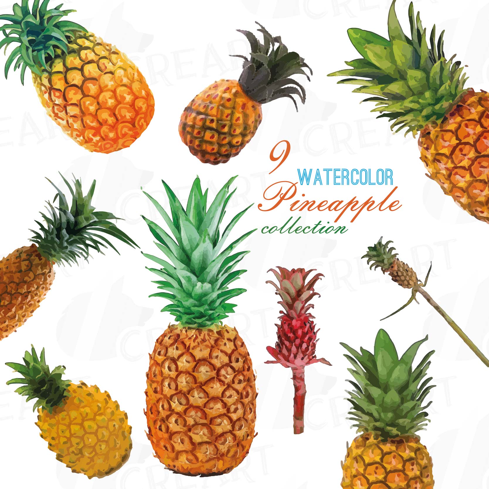 1668x1668 Watercolor Pineapple Clip Art Pack, Watercolor Ananas Clip Art