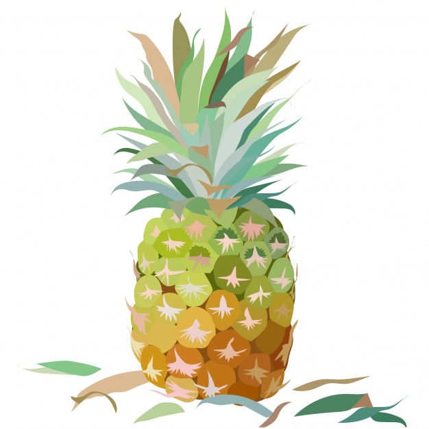 626x626 Watercolor Pineapple Background Vector Free Download