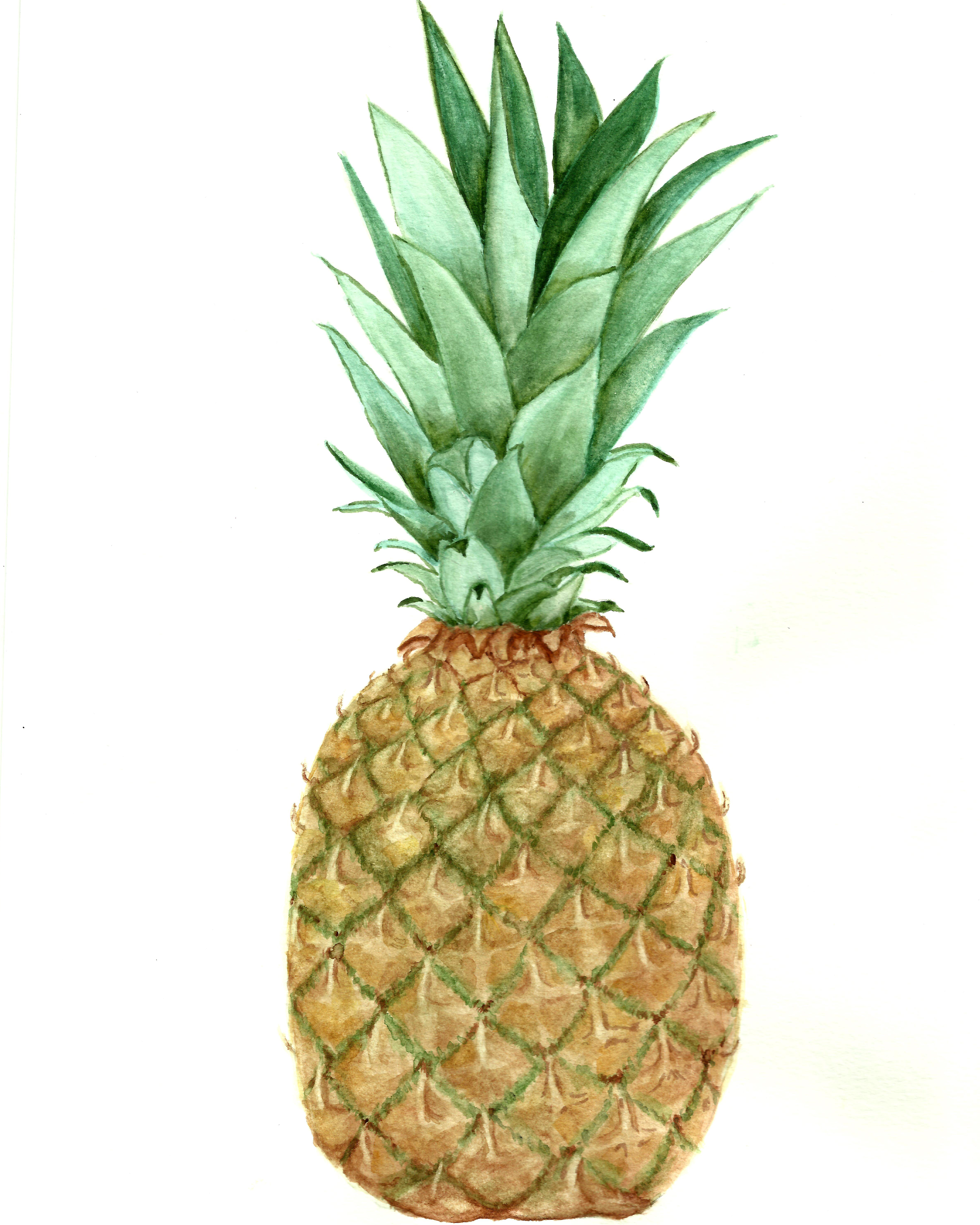 4756x5945 Free Pineapple Watercolor Printable!