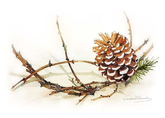 570x406 Watercolor Painting Pine Cone With Branch Painting Etsy