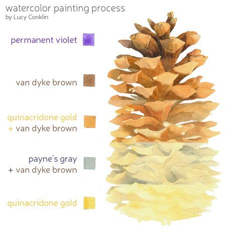 474x474 Watercolor Pinecone