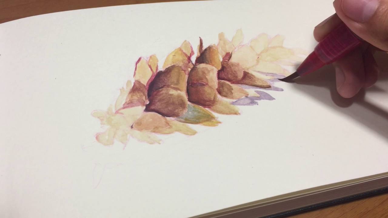 1280x720 Watercolor Pinecone