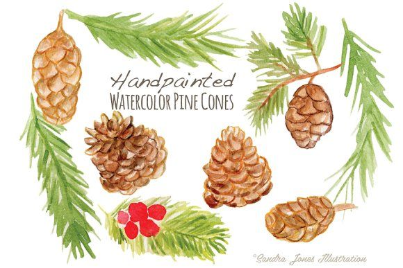 580x387 Watercolor Pinecones Pinecone And Fonts