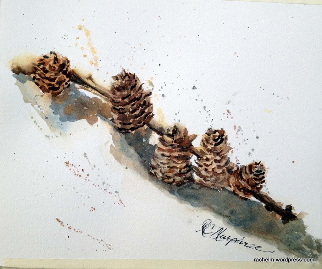 1024x857 Pinecones Rachel Murphree Watercolors