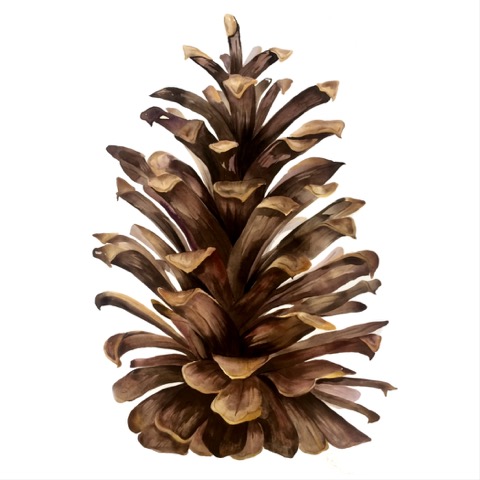 480x480 Idoline Duke Artist