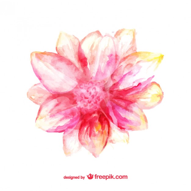 626x626 Pink Flower Watercolor Card Vector Free Download