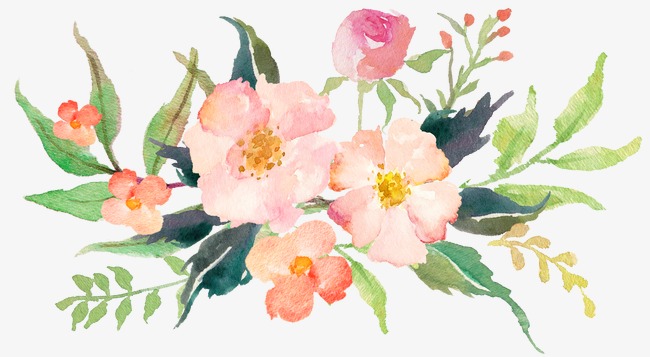 650x357 Watercolor Pink Flower Elegant Style, Watercolor Clipart, Flower