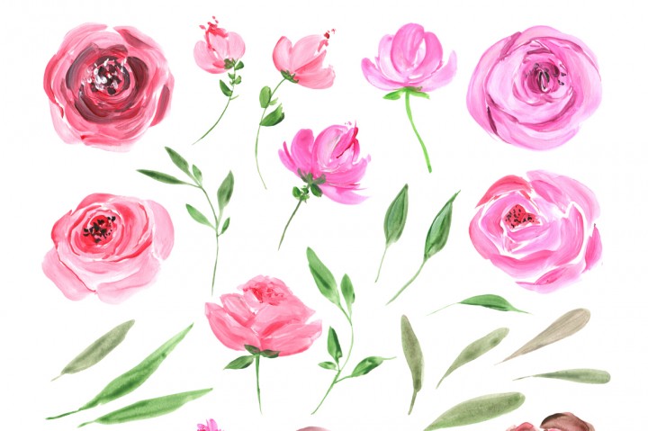 720x479 Acrylic Watercolor Pink Amp Red Roses, Peonies Flowers Png Set By