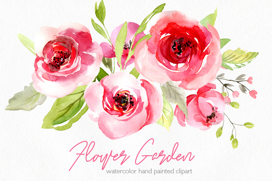 950x632 Watercolor Pink Roses Flowers Leaves Png