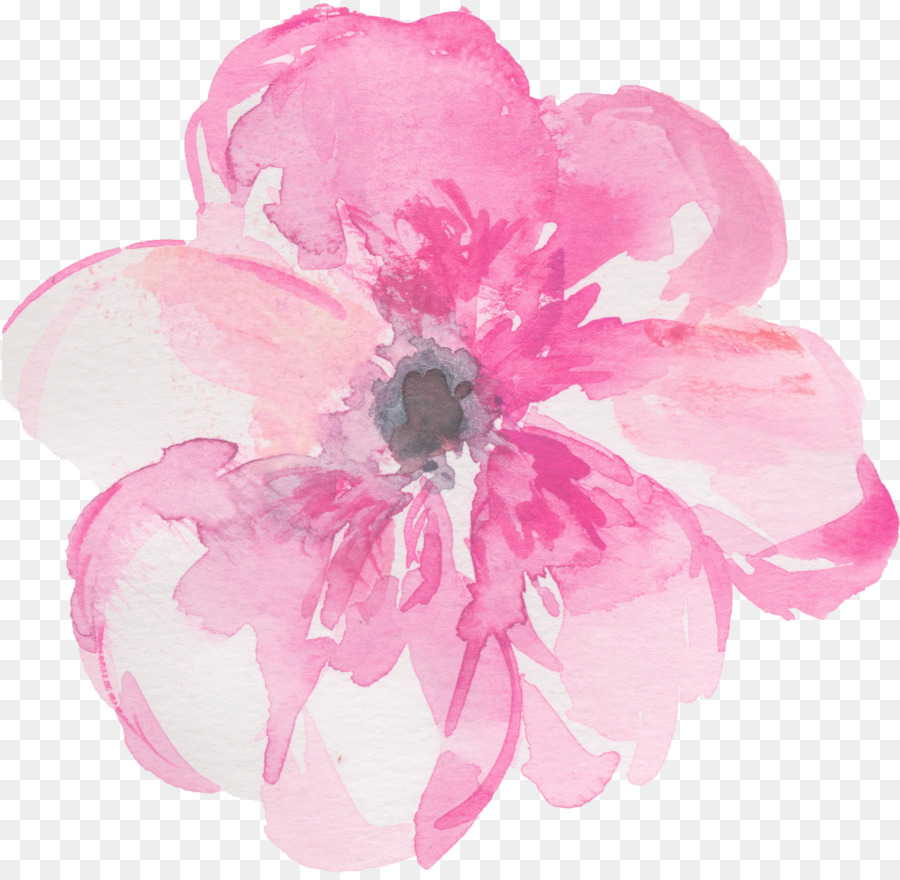 900x880 Watercolour Flowers Watercolor Painting Clip Art