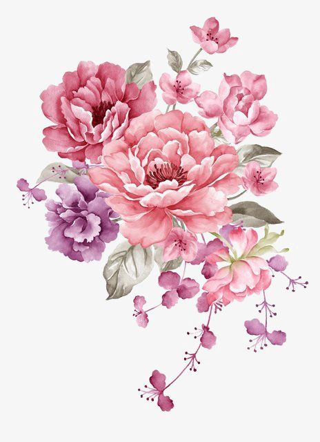 464x640 Flowers Material,watercolor Flowers,pink Flowers,fresh,literature