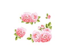 235x188 Best Watercolor Flower Clip Art Images In 2018