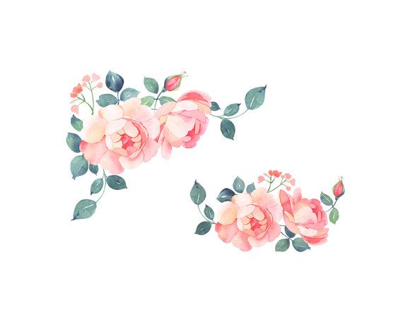 570x456 Romantic Roses, Floral Clip Art, Watercolor Illustration Bundle