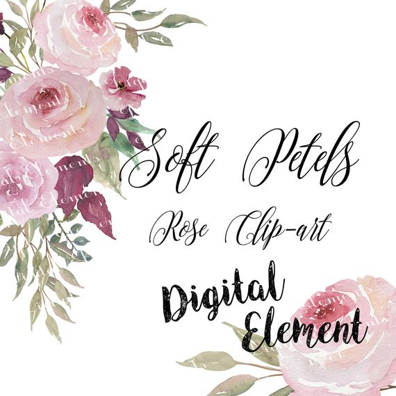 570x570 Watercolor Pink Rose Clip Art Watercolor Floral Clip Art Etsy