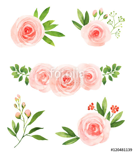 438x500 Watercolor Pink Roses Flower Illustration Elements Stock Photo