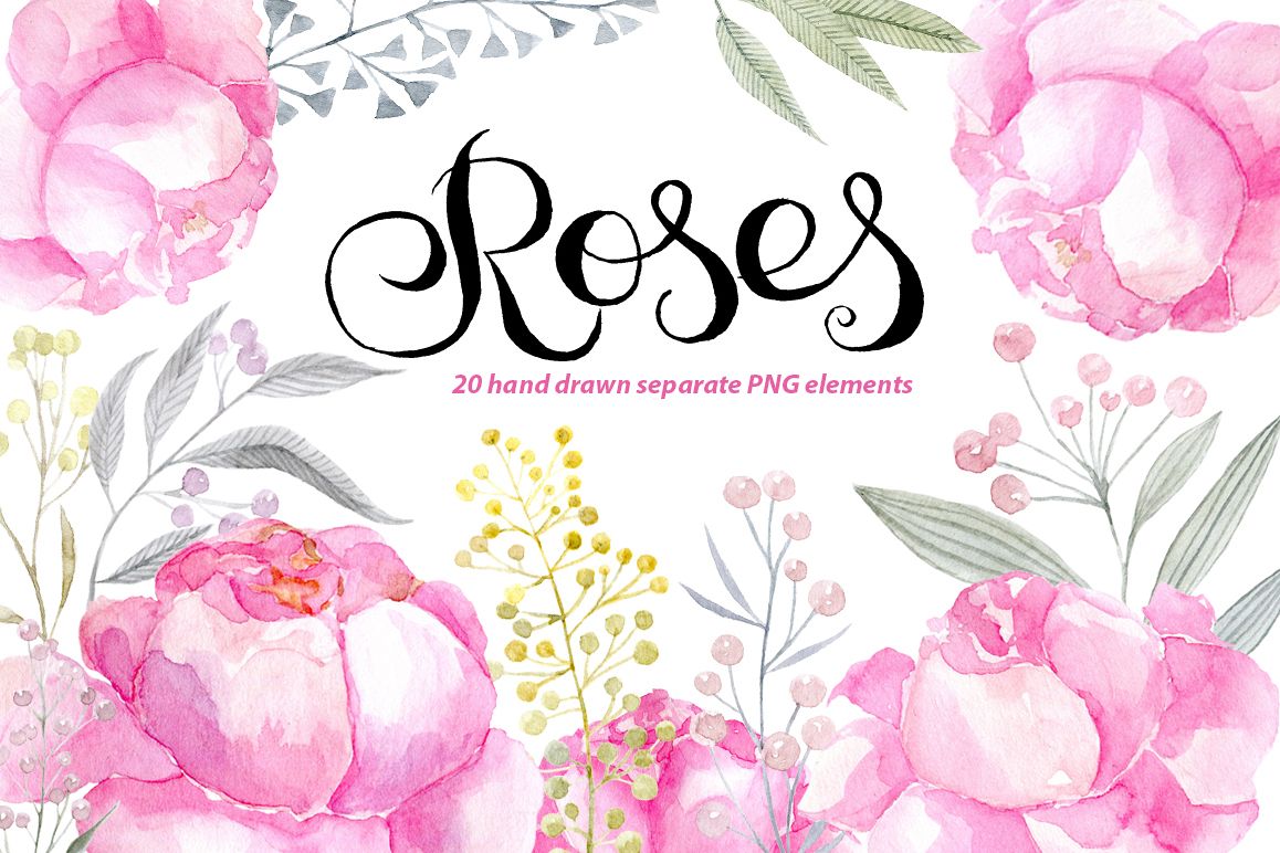 1158x772 Watercolor Pink Roses Png Clipart
