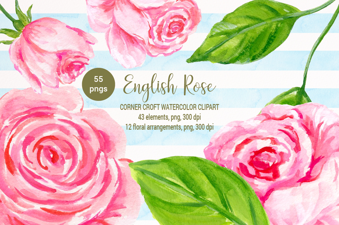 1160x772 English Rose Clipart, Watercolor Pink Rose By Cornercroft