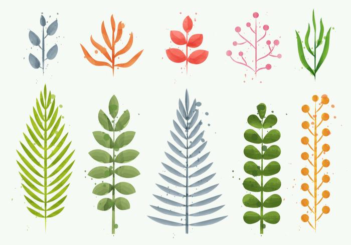 700x490 Floral Watercolor Plant Vectors