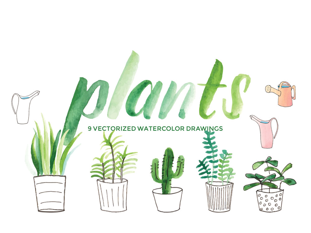 1000x750 Plants And Succulents Vector Watercolor Clip Art Hello Brio