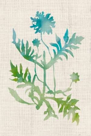 300x450 Watercolor Plants Iii By Artist Mccavitt, Naomi Decorative Print