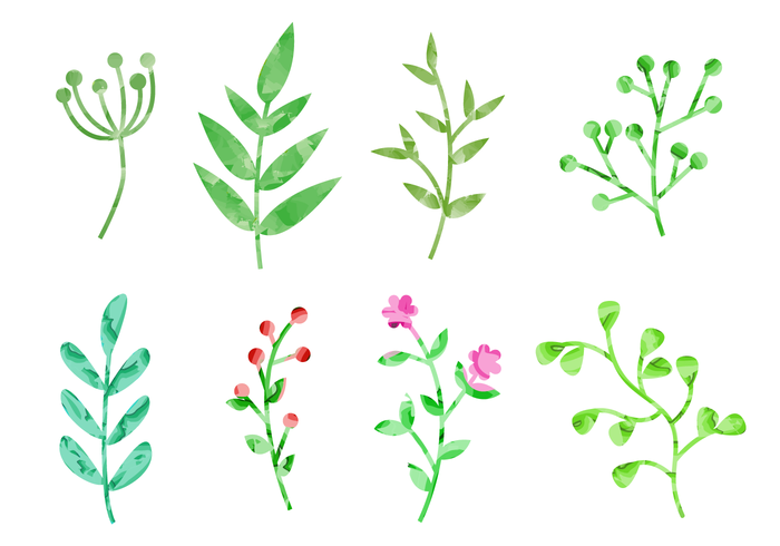 700x490 Watercolor Plants Vector