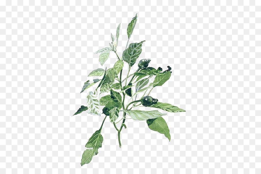 900x600 Watercolor Painting Illustration