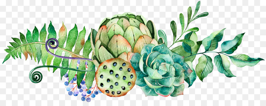 900x360 Watercolor Painting Succulent Plant Cactaceae
