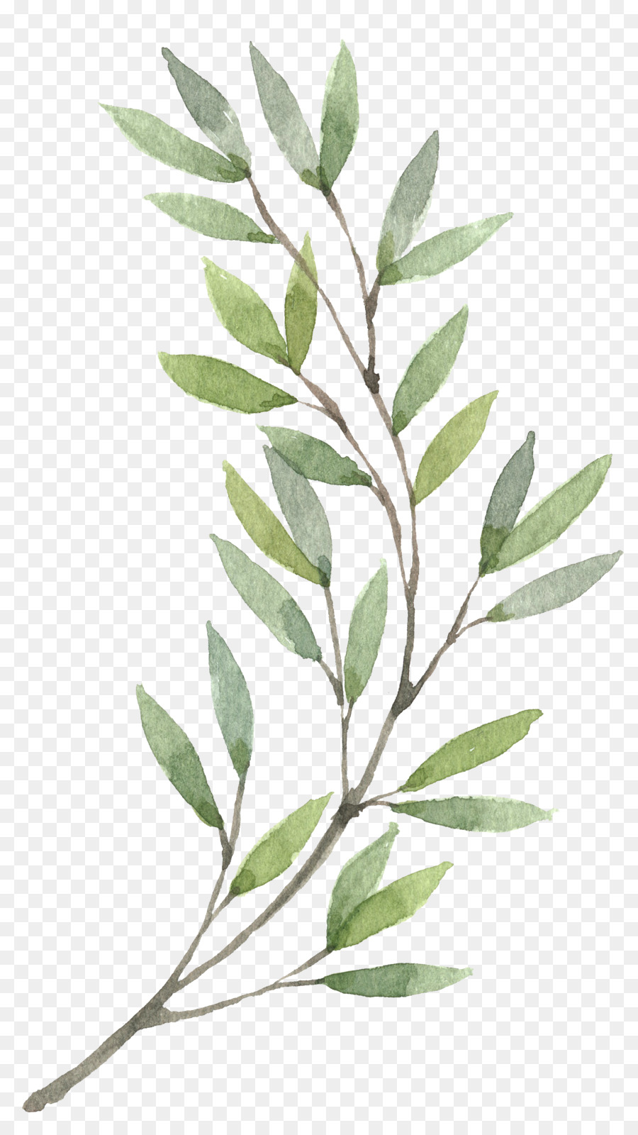 900x1600 Wreath Watercolor Painting Flower Clip Art