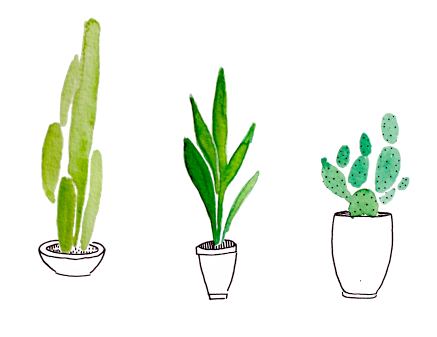 437x337 Watercolor Plants