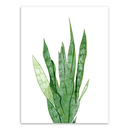 425x425 Ran, Art Fresh Watercolor Plants Canvas Art Print