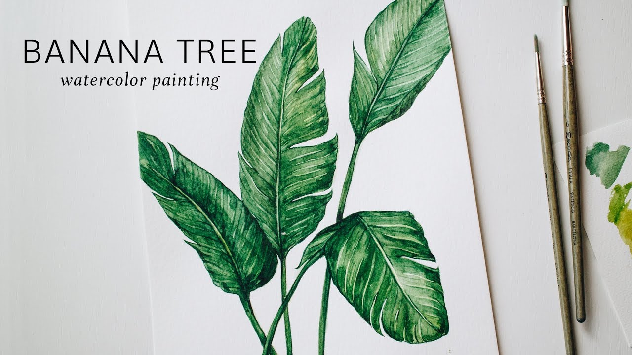 1280x720 Banana Tree Watercolor Painting Time Lapse House Plants