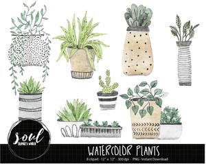 300x239 Cod469 Watercolor Plants Clipartcactus Cliparts Ramona Amp Friends