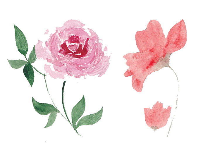 711x506 Flower Watercolor Png Free
