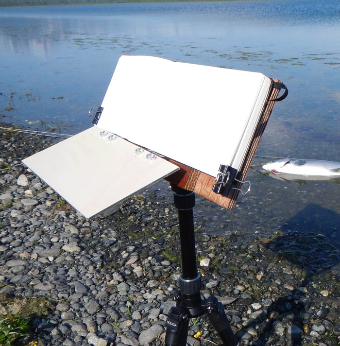 700x712 Gurney Journey Your Diy Watercolor Pochades