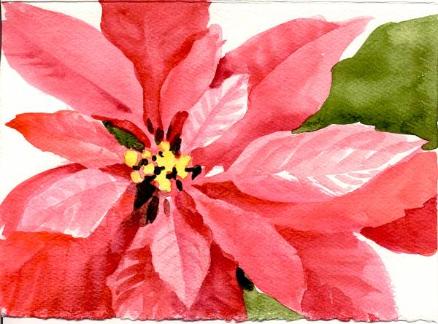 438x324 Painting Poinsettias