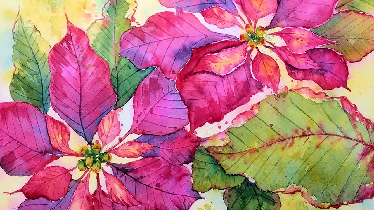 1280x720 Poinsettia In Watercolor Real Time Painting Tutorial!