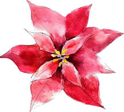 425x384 Pretty Beautiful Artistic Red Watercolor Poinsettia Cartoon Vinyl